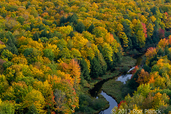 Autumn Forest, Foggy Bogs and Lake Superior Shoreline, Porcupine Mountains Wilderness State Park and Environs, Michigan